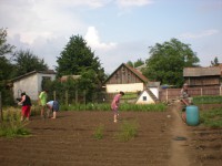 /album/tevekenyen-a-jovonkert-szoc-szov/a2013-06-23-meh-rajzas-ebesen-es-szoc-szov-tevekenysegek-019-jpg/